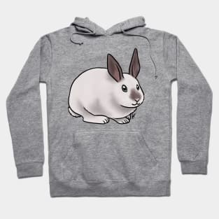 Small Mammal - Rabbit - Californian Hoodie